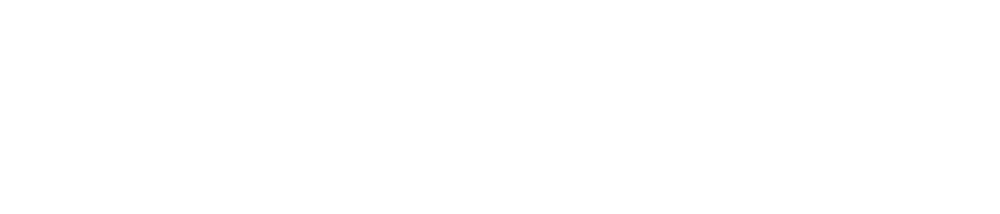 Travelisimo